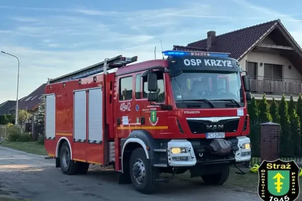 Interwencja OSP Krzyż Wielkopolski: usuwanie gniazda owadów błonkoskrzydłych