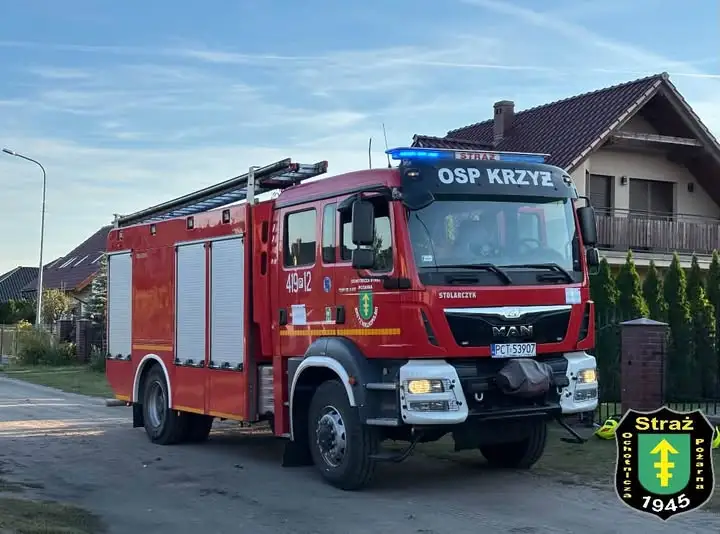 Interwencja OSP Krzyż Wielkopolski: usuwanie gniazda owadów błonkoskrzydłych