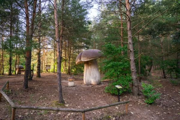 Park Grzybowy w Piłce przejdzie metamorfozę dzięki unijnemu wsparciu